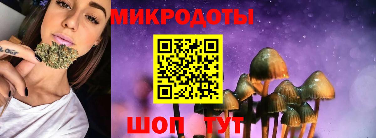 Семёнов  Псилоцибиновые грибы Cubensis  Вход с VPN 